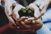 Những bàn tay trong gian khó